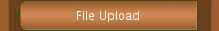File Upload
